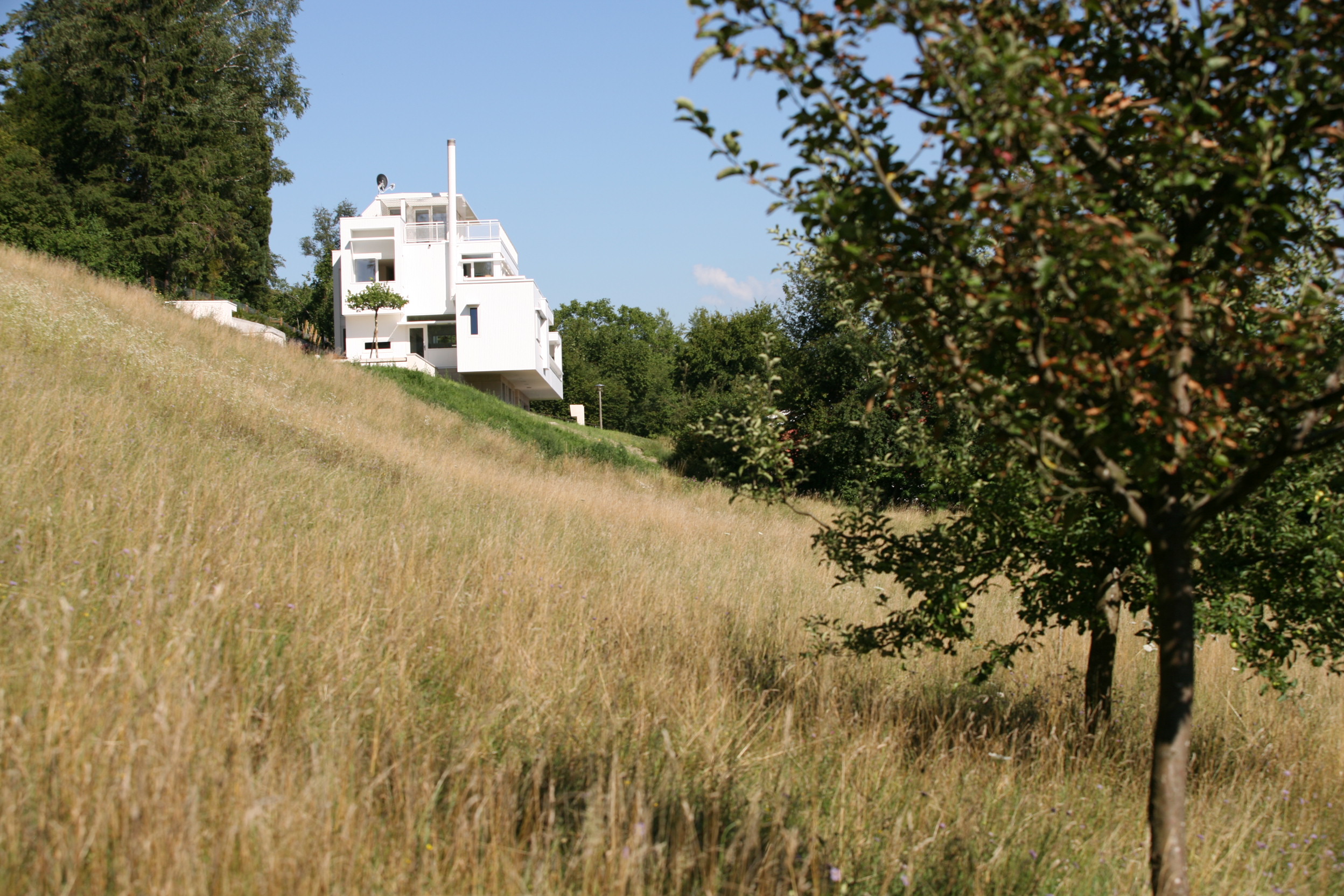 Haus Trottenweg mit weissen Baukörpern über einem Sockel am Rand der hohen Wiese.