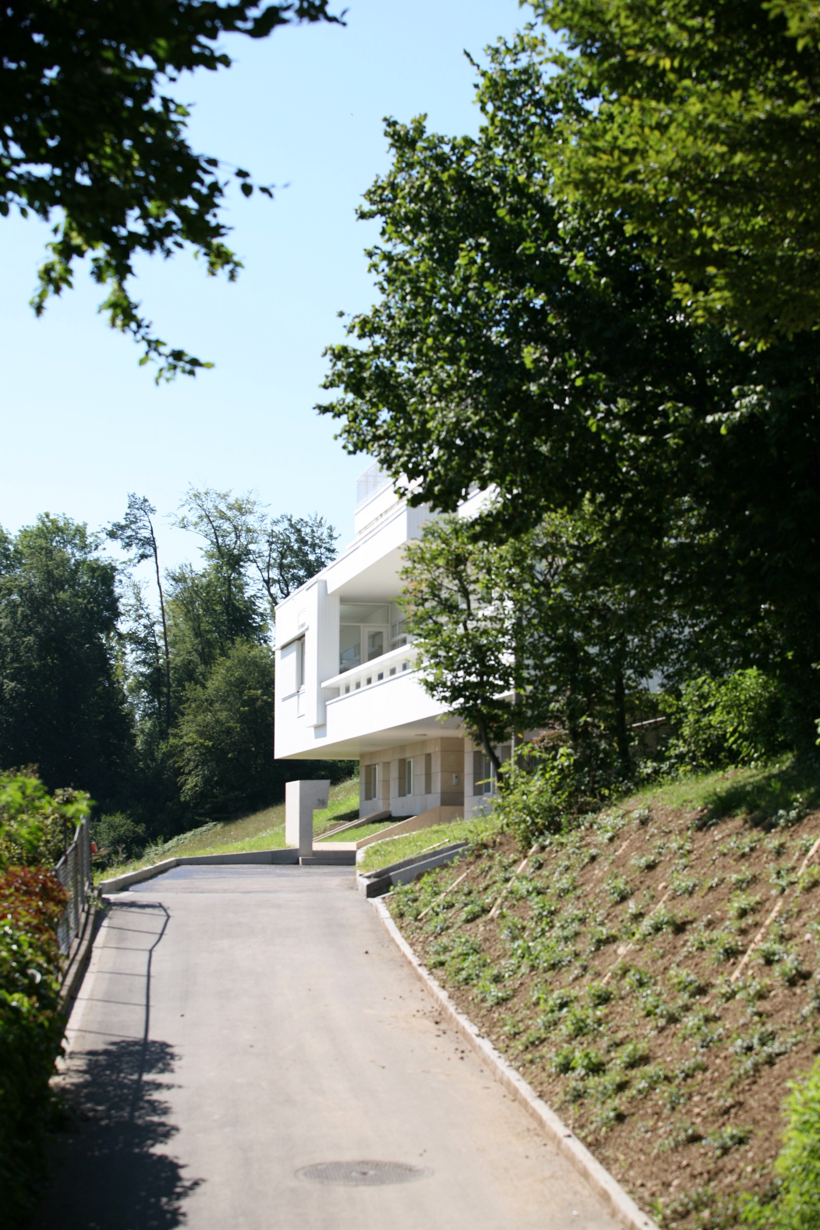 Baumgesäumte Zufahrt zu Haus Trottenweg mit Blick auf die auskragenden weissen Baukörper.