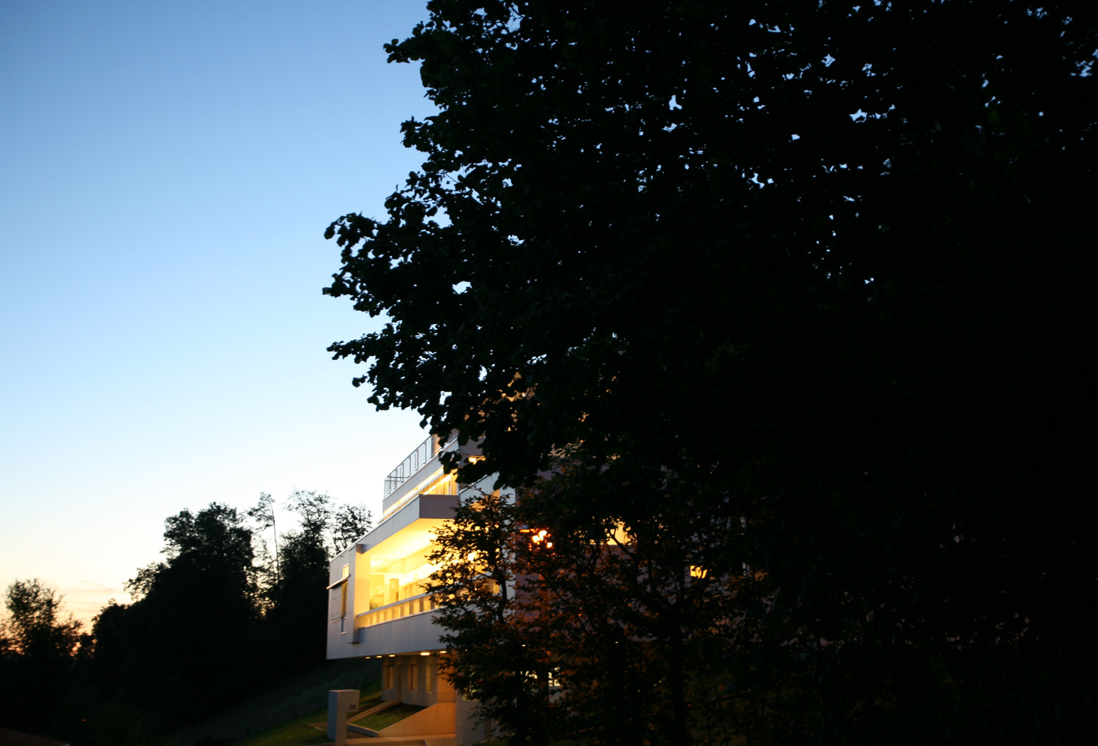 Zufahrt zu Haus Trottenweg bei Dämmerung mit beleuchteten Fenstern zwischen dunklen Bäumen.