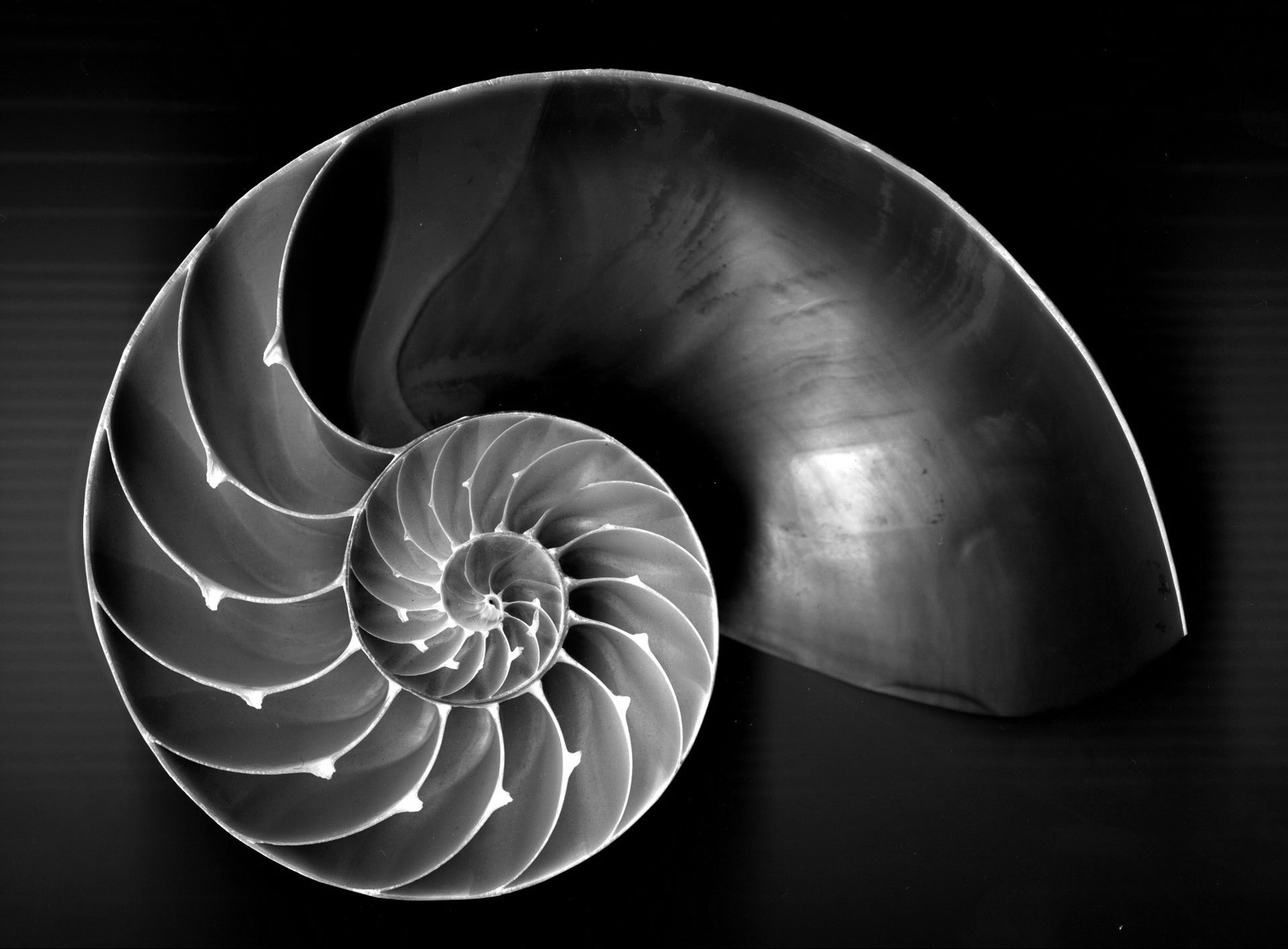 Geometrie