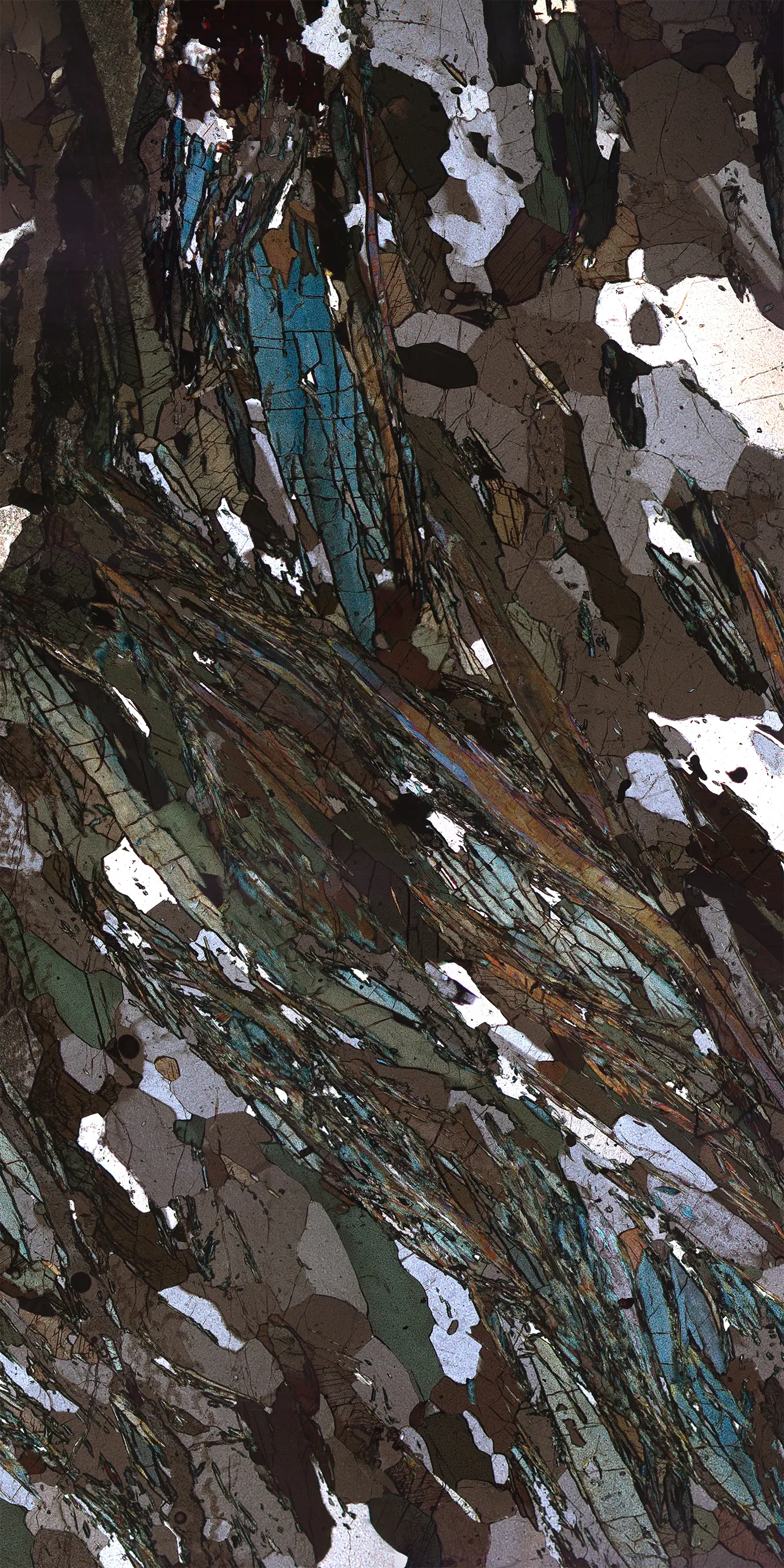Large format microscope photo of a geologic sample under polarized light.