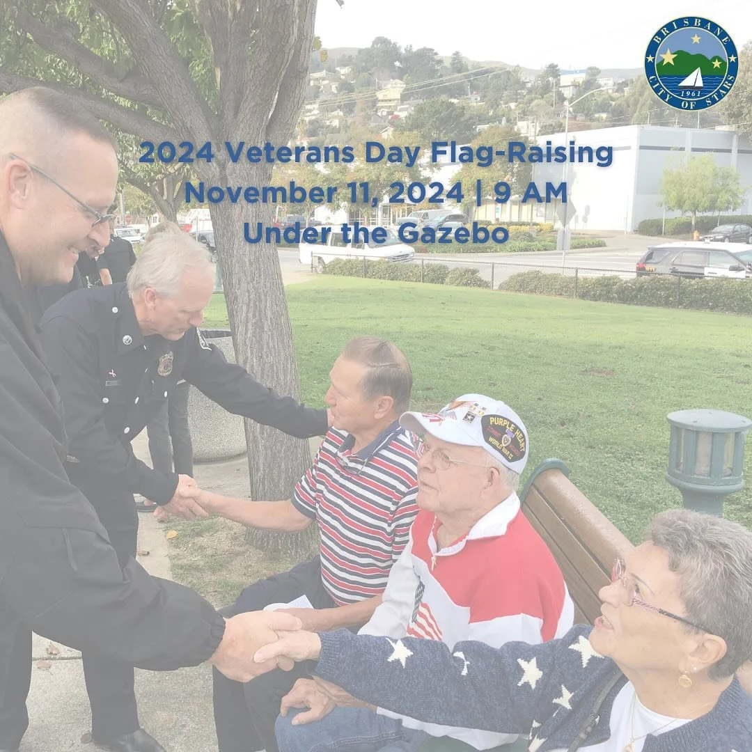 2024 Veterans Day flag-raising flyer with a community photograph.