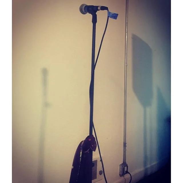A microphone and stand cast a shadow on a wall.