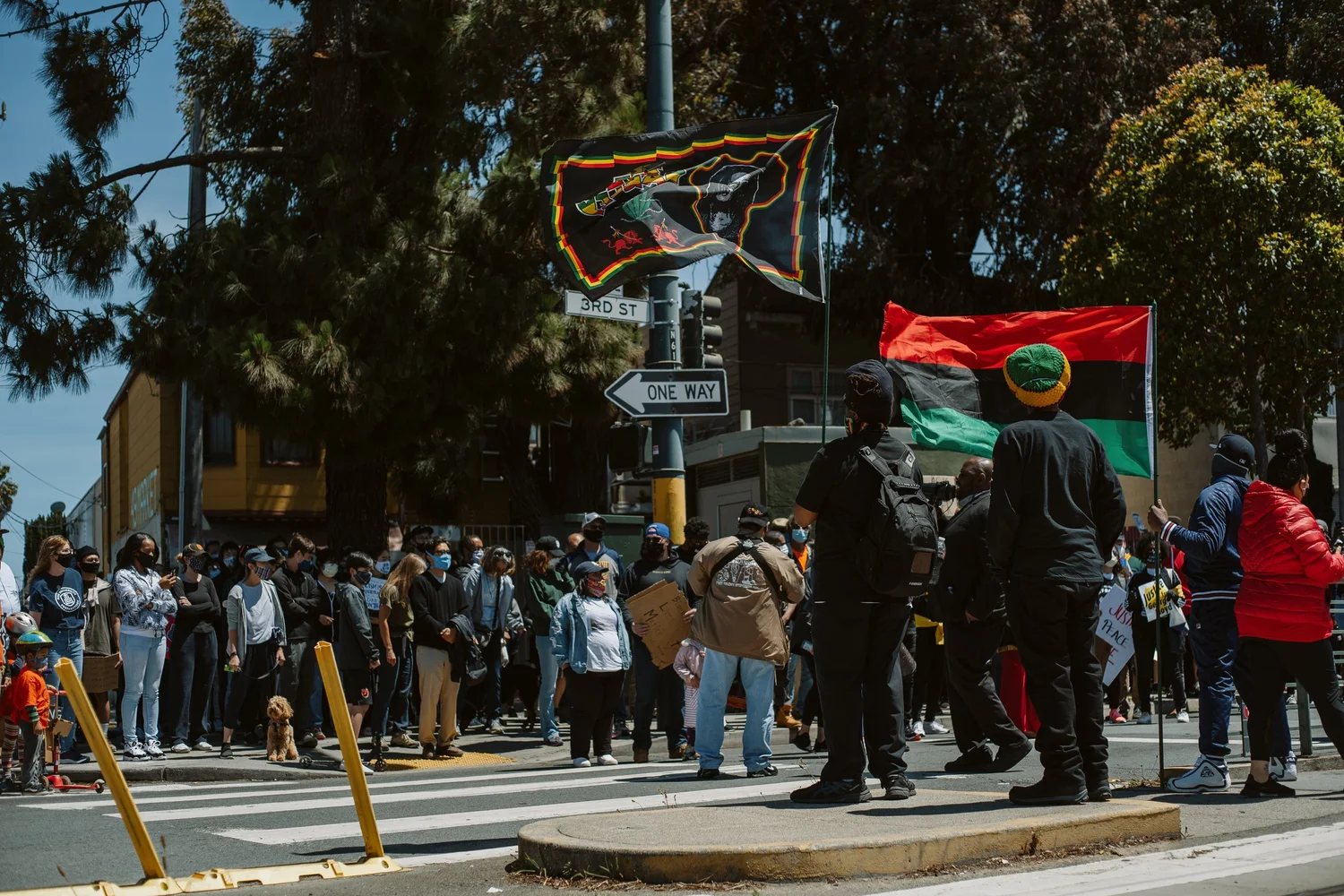 Rally participants carrying flags at a street intersection.