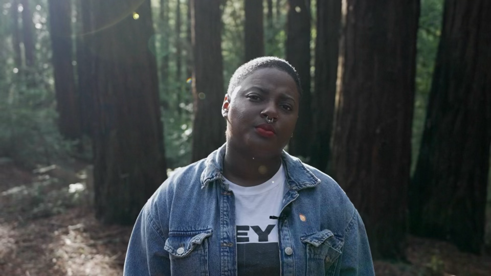 A person standing among redwood trees.