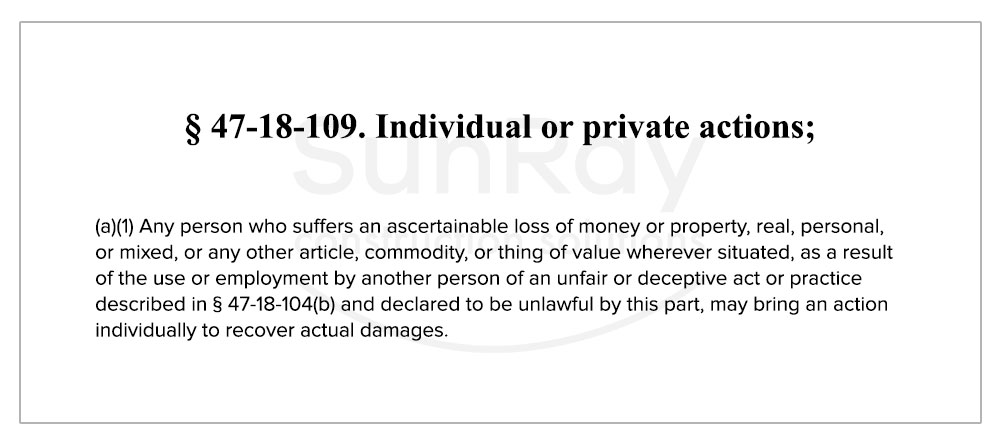 § 47-18-109. Individual or private actions