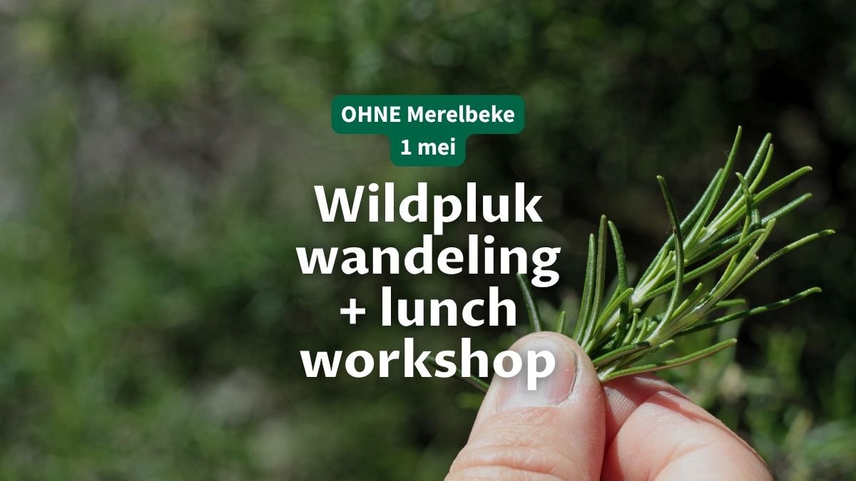 Mechanical Bull Los Angeles