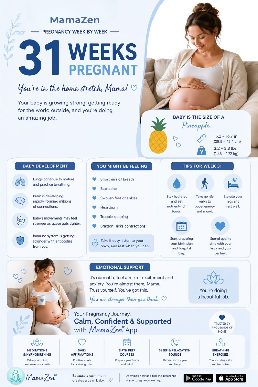 31 weeks pregnant infographic with baby size, symptoms, baby development and what to expect this week