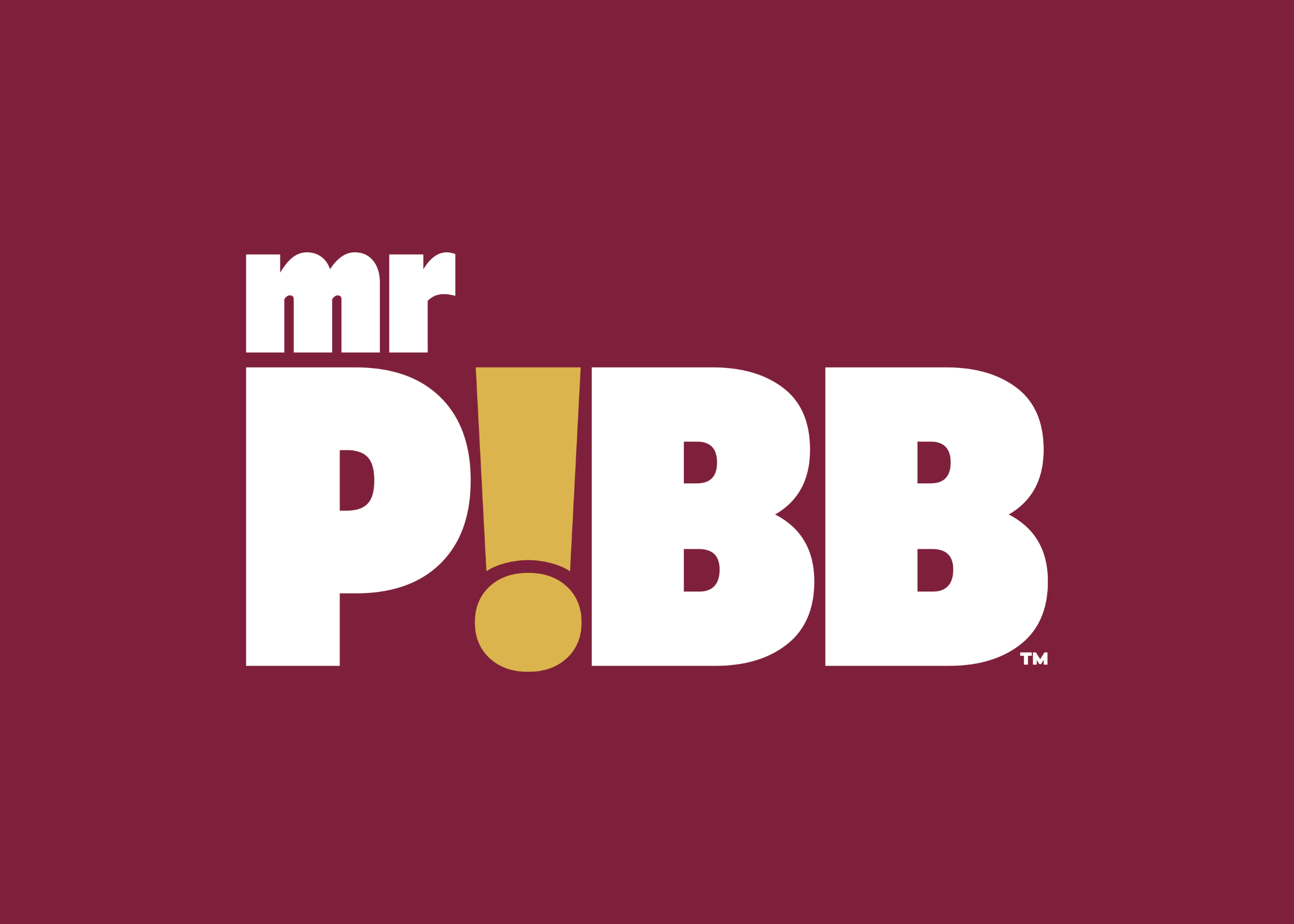 mr PIBB Logo