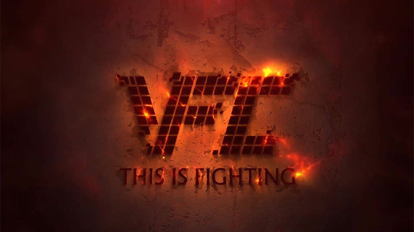 Virtual Fighting Championship