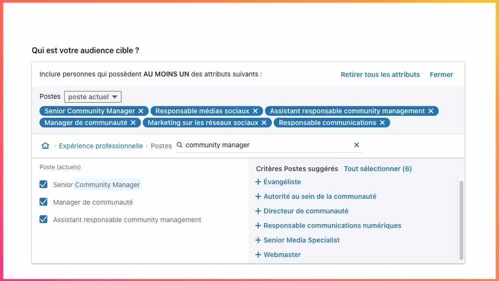 Exemple d'un ciblage sur LinkedIn Ads. 
