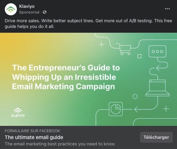 Facebook Ads en B2B : exemple d'une publicité à formulaire sur Facebook. 