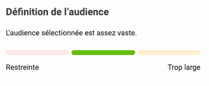 audience audit facebook ads