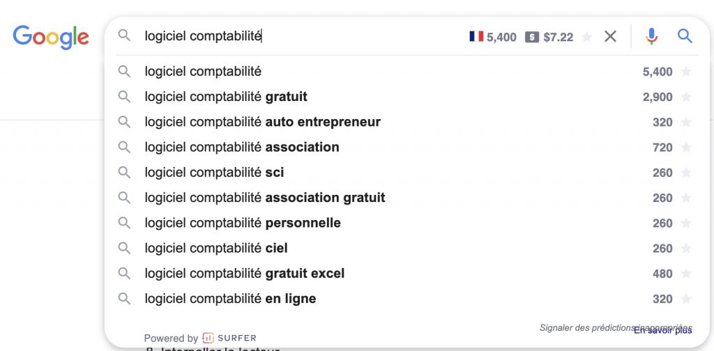 SEO : Keyword Surfer, une extension pour connaître le volume de recherche de ses mots-clés ciblés.
