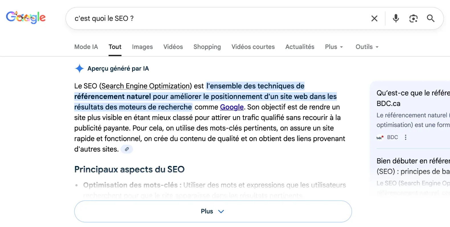 aperçu des résultats de recherche Google pour la recherche "c'est quoi le SEO ?""