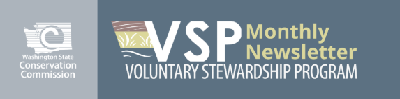 VSP monthly newsletter logo