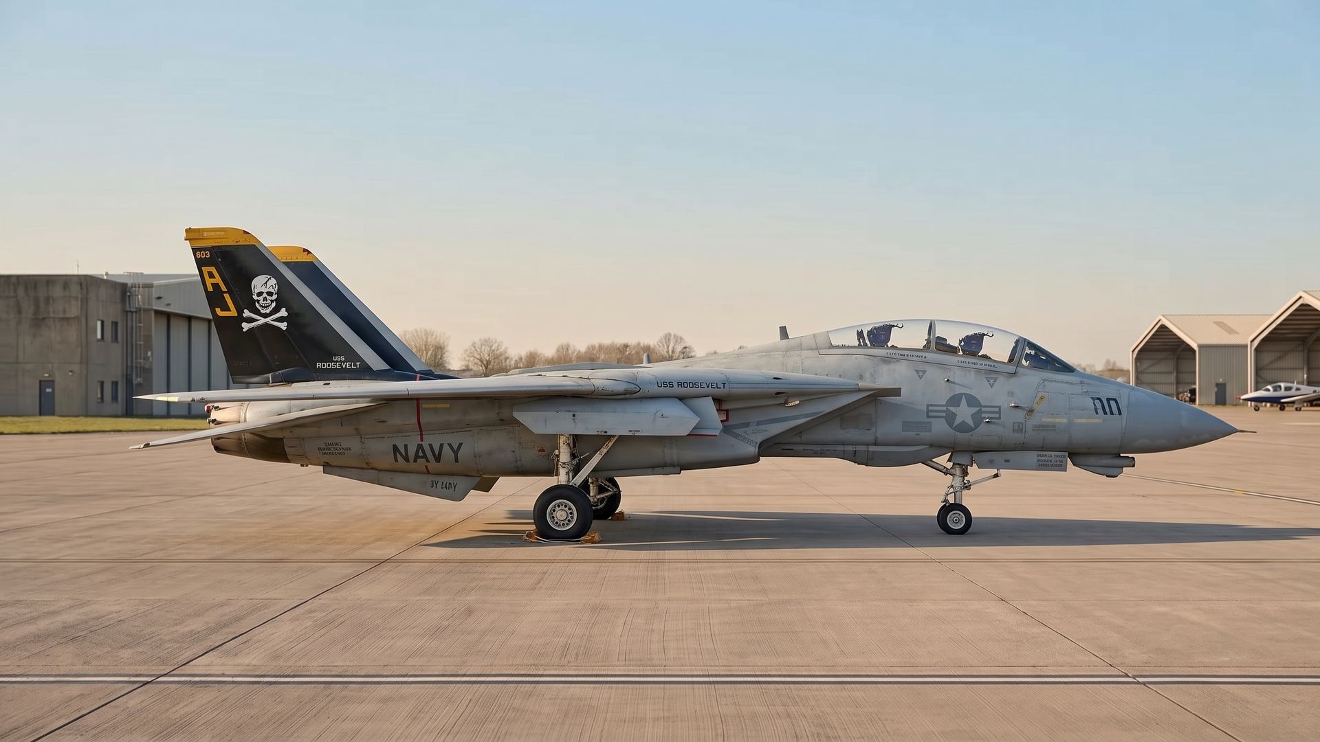 F-14 Tomcat