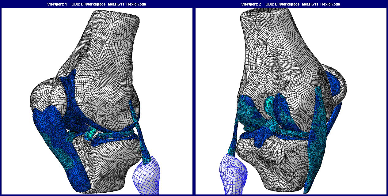 A finite element model of human knee joint (Naghibi Beidokhti et al. 2017)