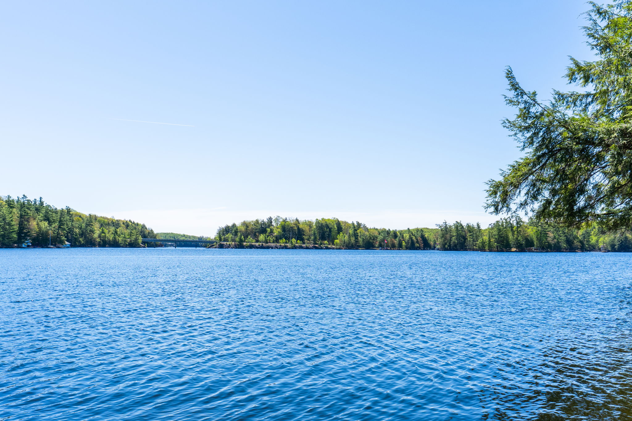 Joe River - 365ft of Gentle & Private Joe River Shoreline
