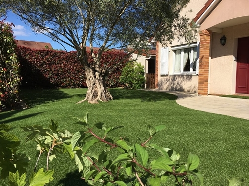 Jardin en gazon synthétique, M+Pose