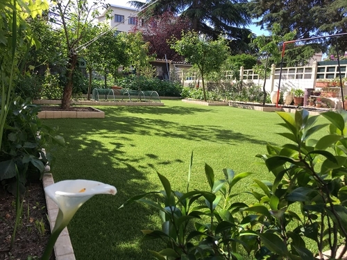 Jardin en gazon synthétique, M+Pose
