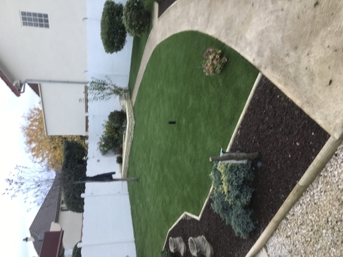 Jardin en gazon synthétique, M+Pose