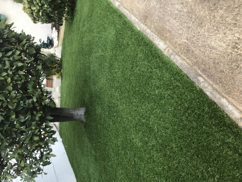 Jardin en gazon synthétique, M+Pose