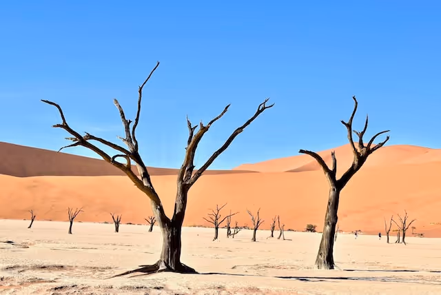Dead Vlei, Sossusvlei, Namibia