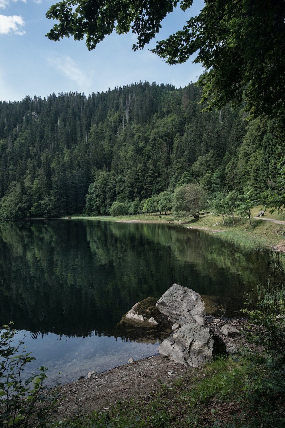 Black Forest, Germany