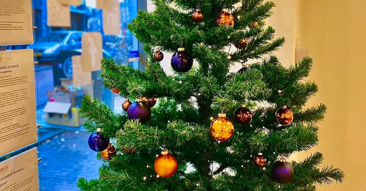 Fijne kerstdagen! 🎄
