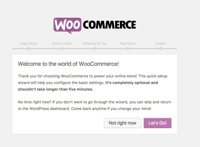 online shop wordpress woocommerce lipstick and pixels