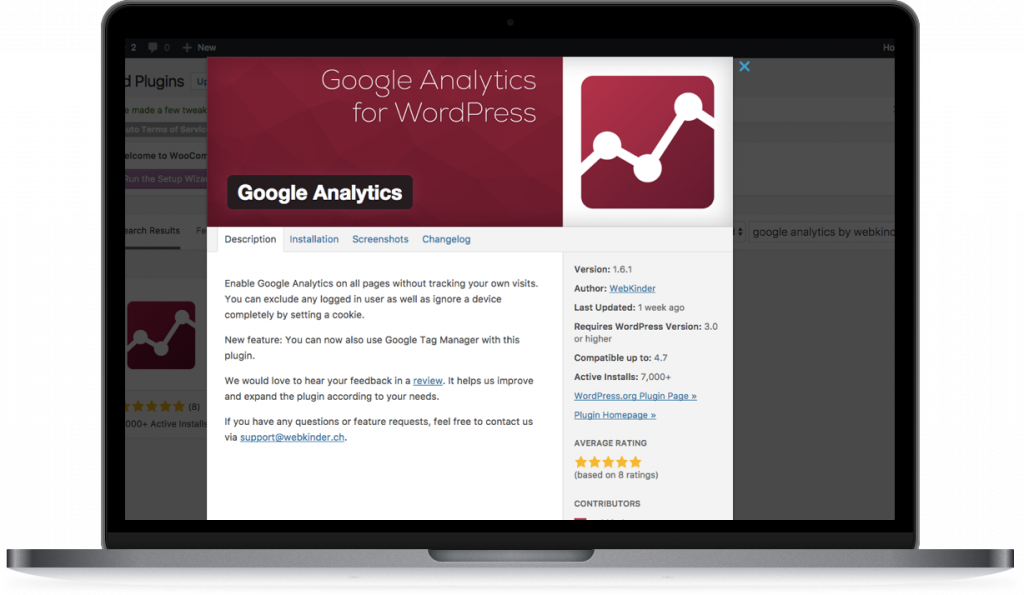 add Google Analytics Wordpress Lipstick and Pixels