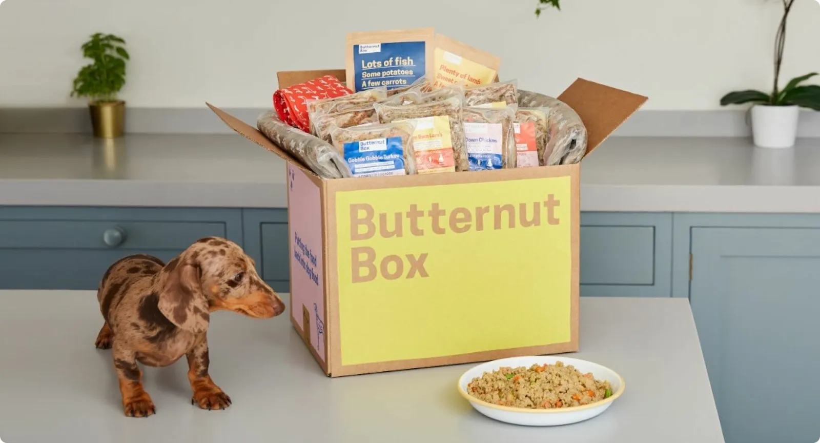 Butternut Box - SentiSum
