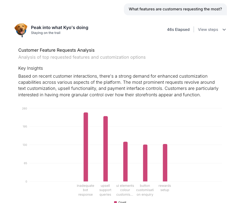 Bar chart highlighting the most common customer feature requests.