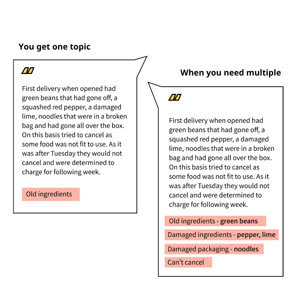 Multiple topic tagging customer feedback