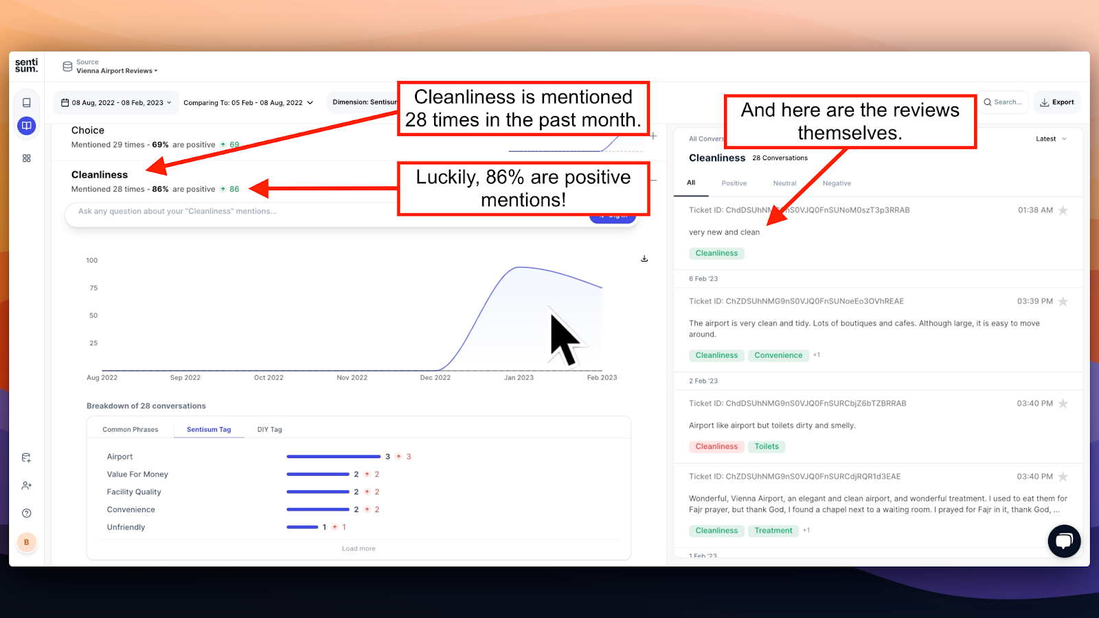 A customer review sentiment analysis