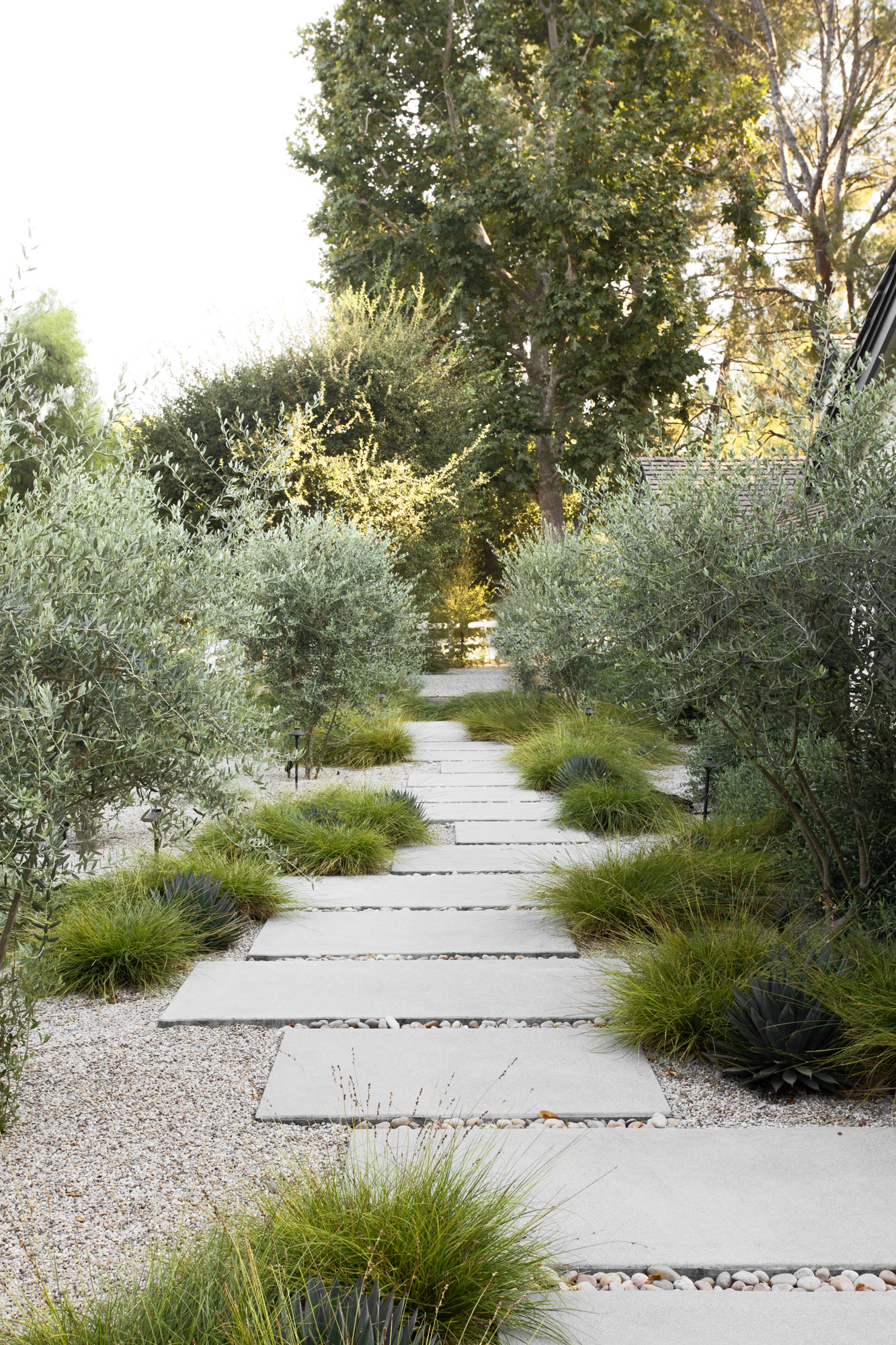 Stone pathway through bushes.
