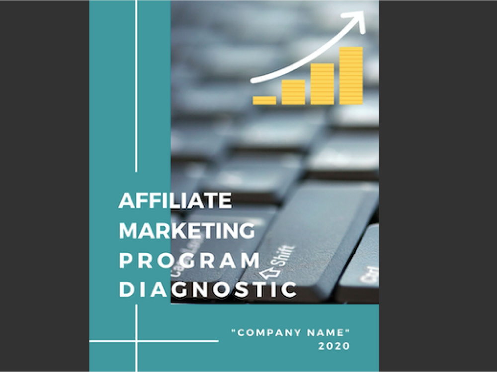 Comprehensive diagnostic of your affiliate marketing program