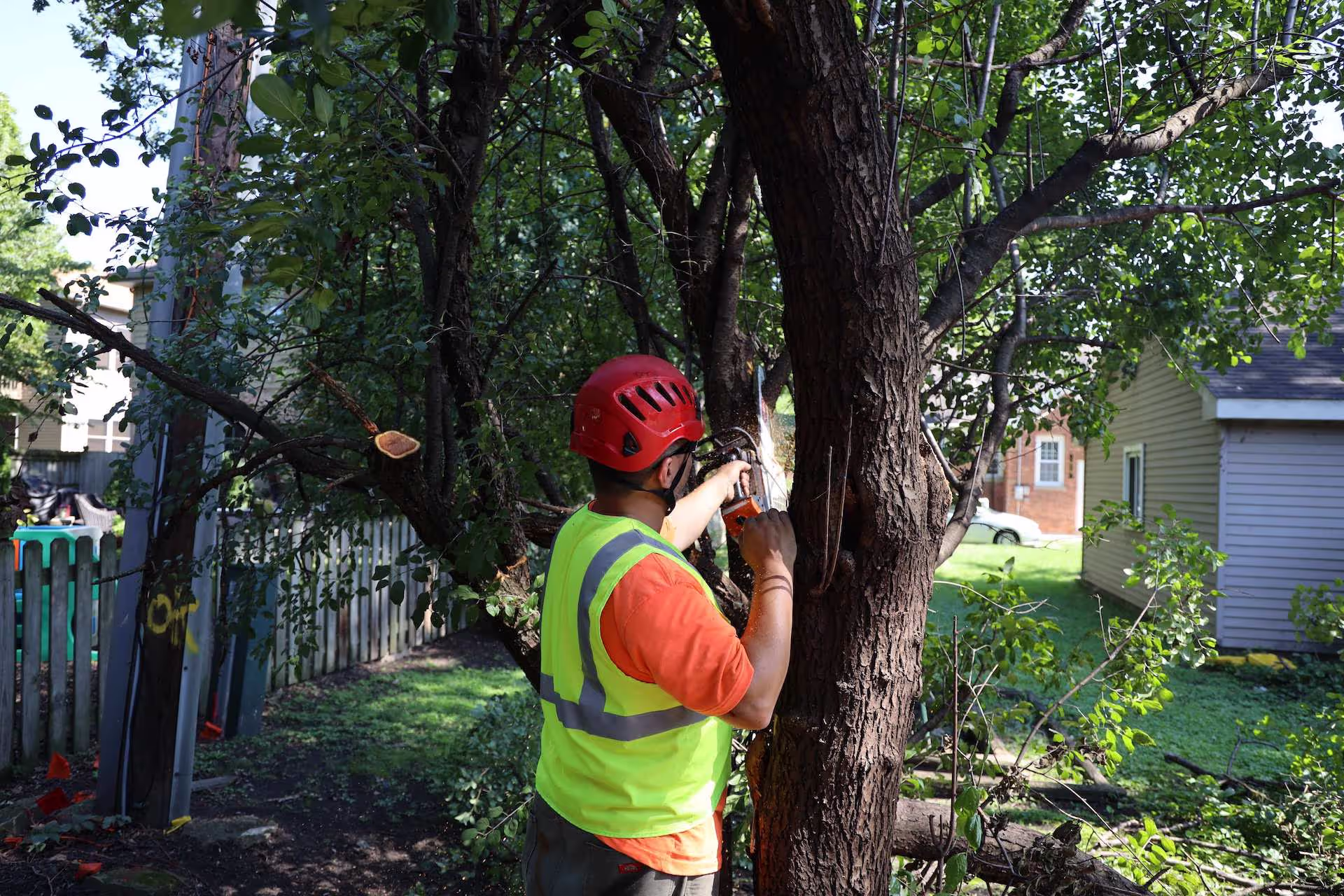 Brookfield Tree Service gallery 4