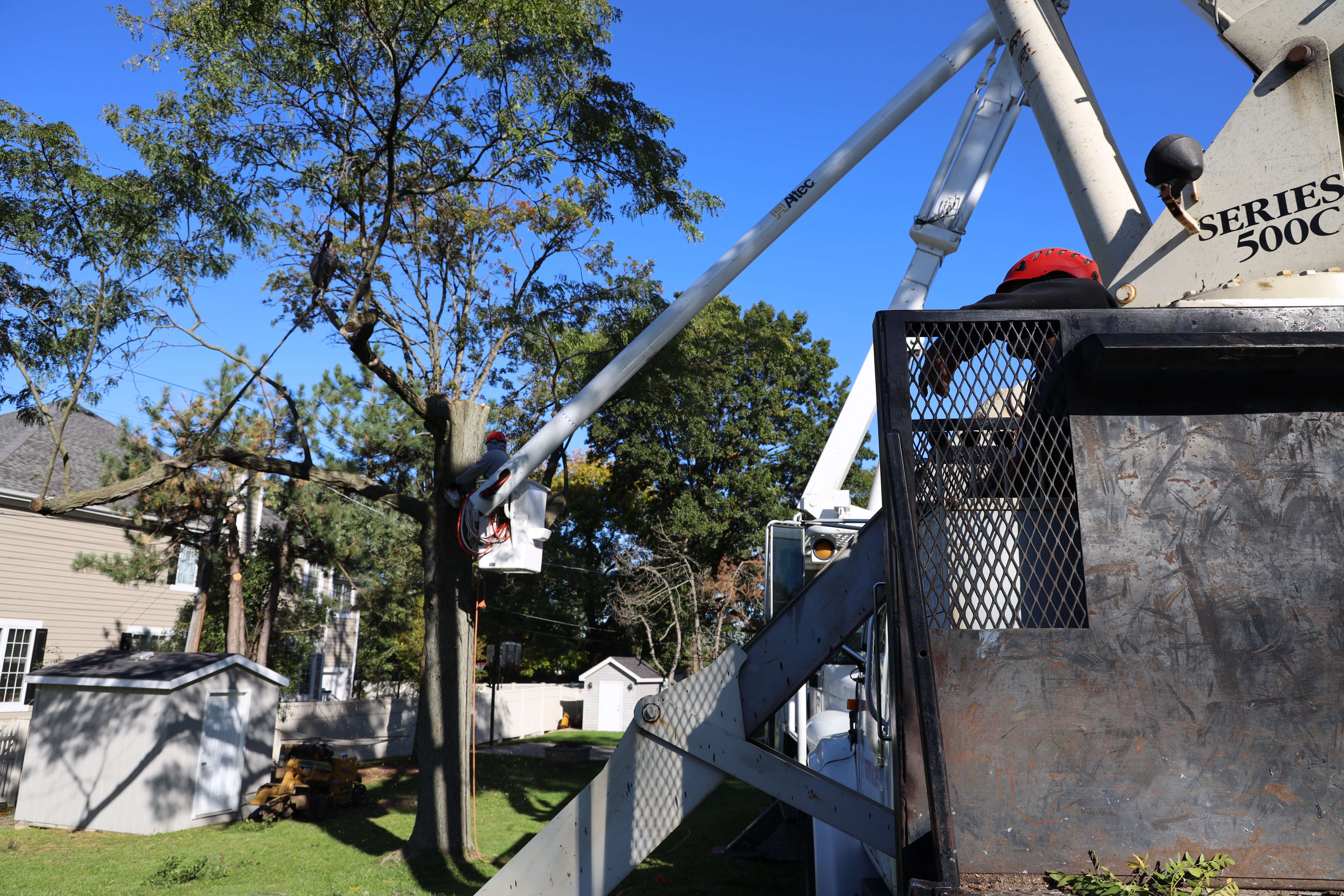 Brookfield Tree Service gallery 5