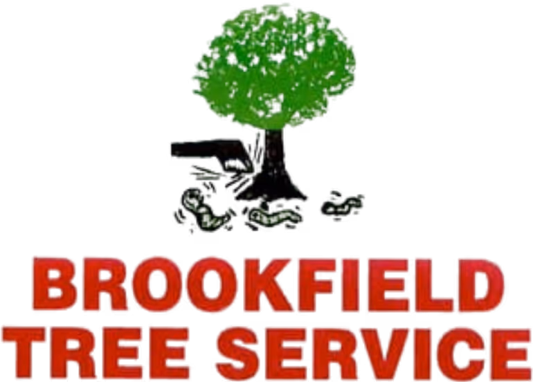Brookfield_Tree_Service_Logo