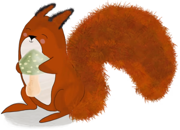 A cute red squirrel eating a mushroom
