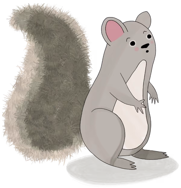 A cute gray squirrel
