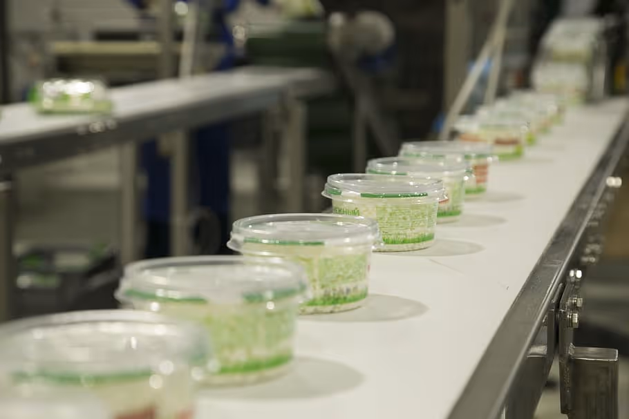 plant-production-factory