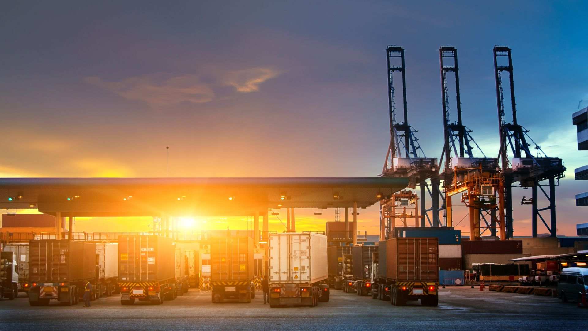 Image of transport trucks from the back checking into a yard at sunset
