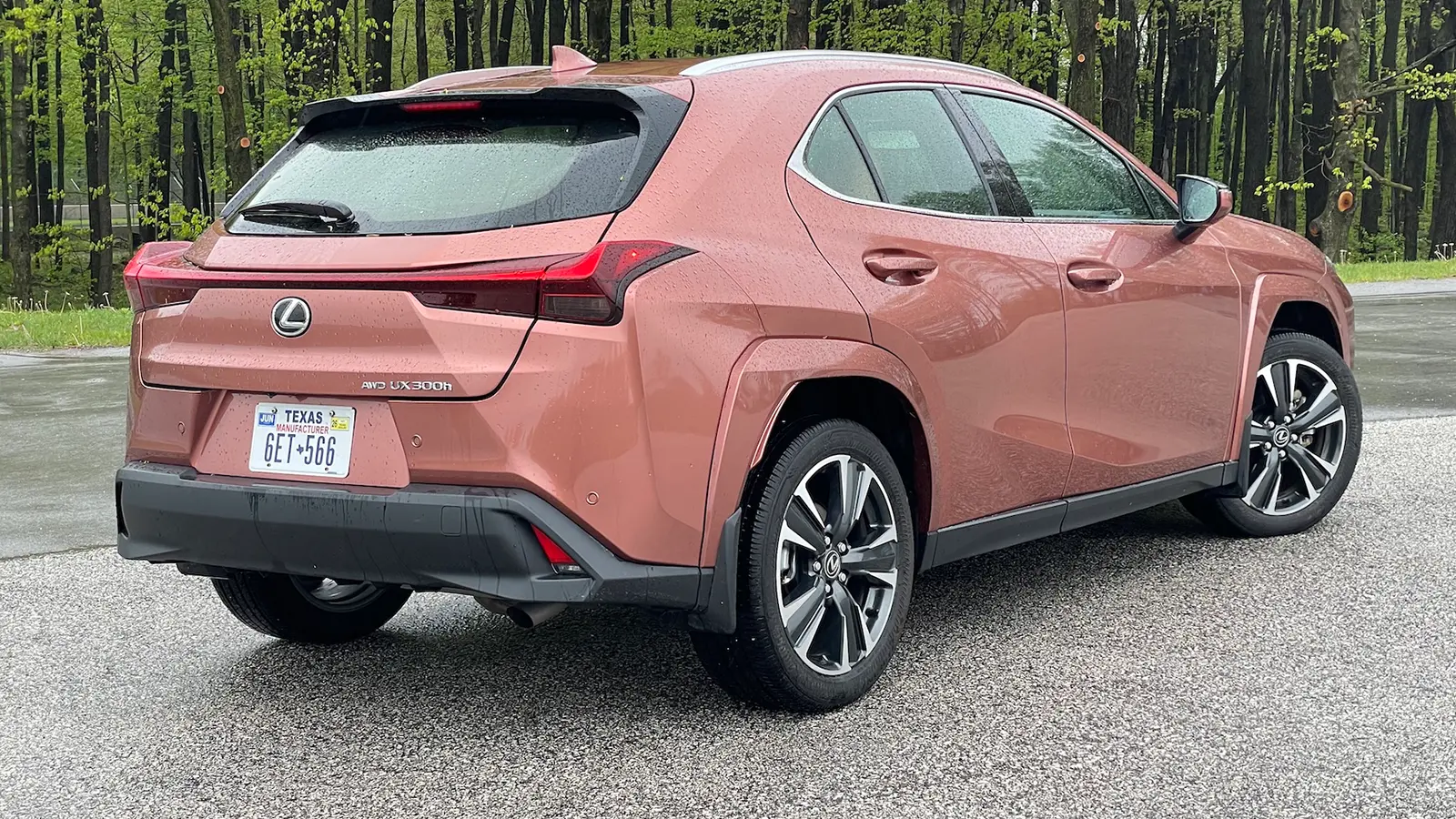 2025 Lexus UX 300h rear view