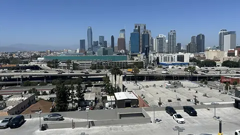 LA Skyline