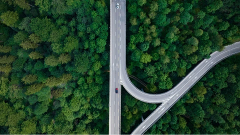 Bird's eye view of a long, winding, green forest road
