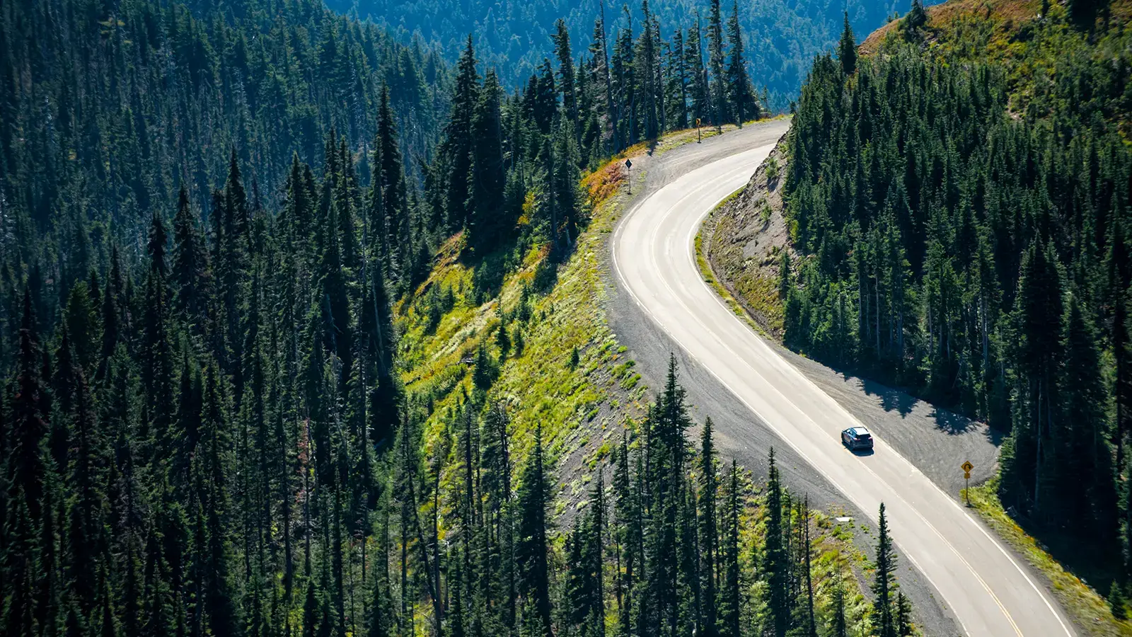Conduciendo un coche por una montaña con vistas a un pintoresco bosque