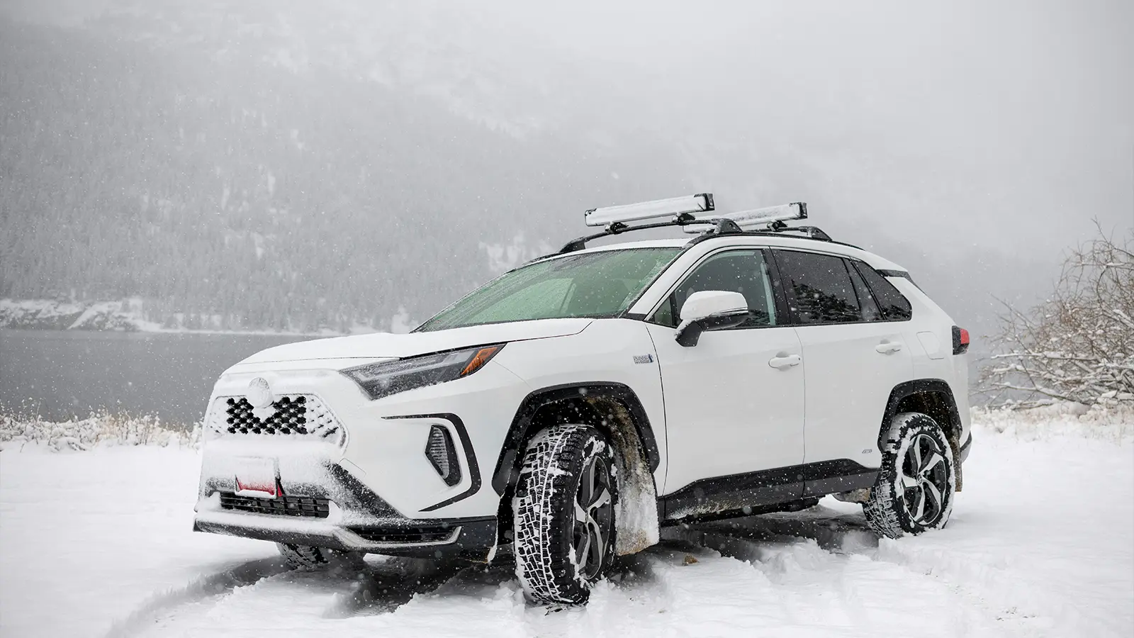 RAV4 Hybrid